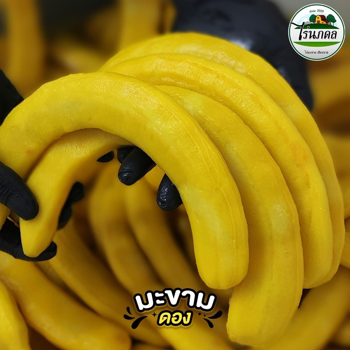 ผลไม้ดอง/แช่อิ่ม จากไร่นภดล