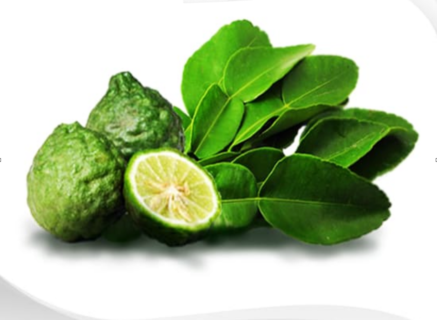 Leech Lime Leaf