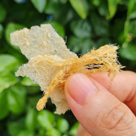 Crispy rice crackers with shredded pork (ข้าวตังหมูหย่อง)