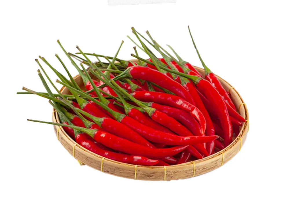 Red Chili