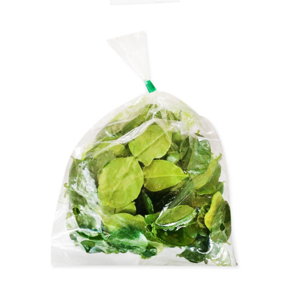 Leech Lime Leaf