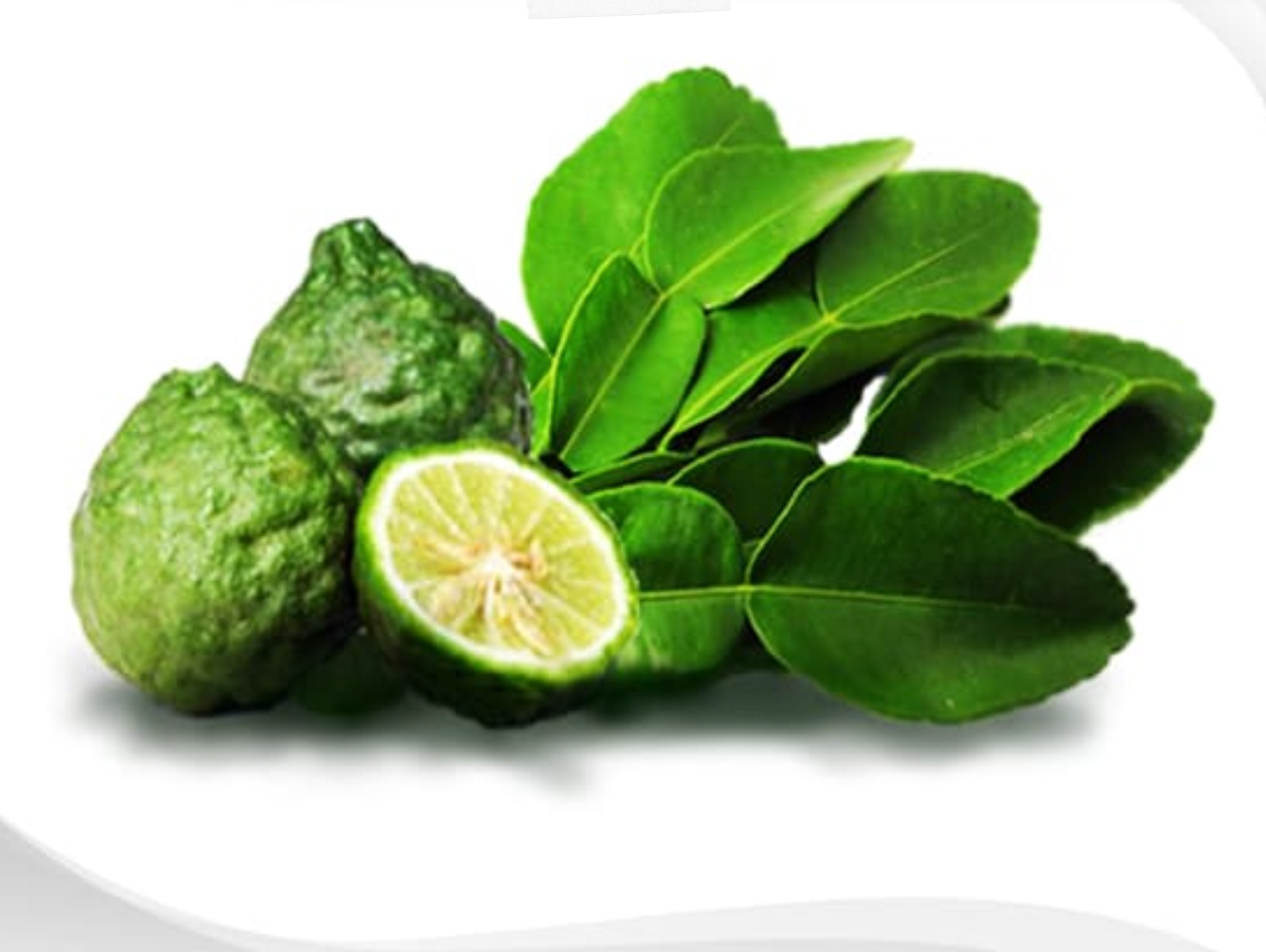 Leech Lime