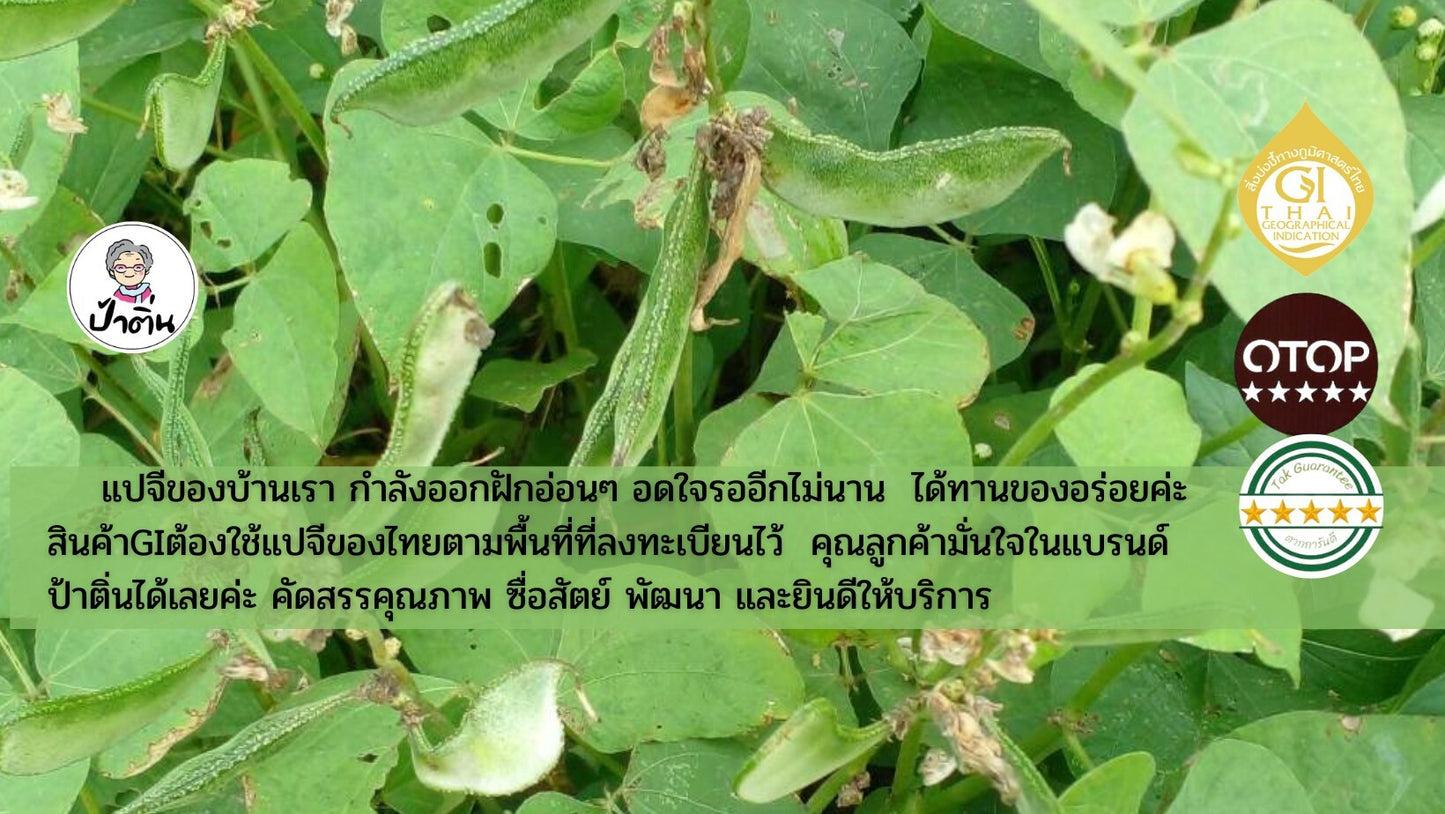 แปจ่อเขียว